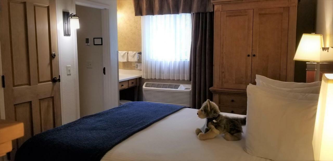 The Rockwell 3* Jackson